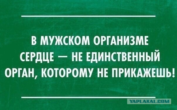 Разное на субботу