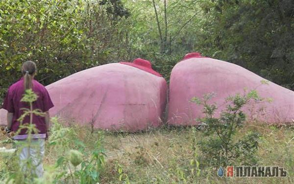 Архитекторы и скульпторы