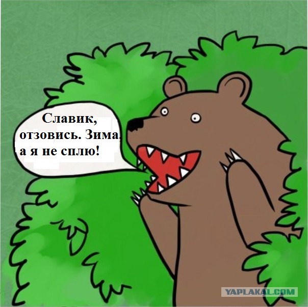 У меня грустные новости для соЯПовца. Слава Новиков тут есть?
