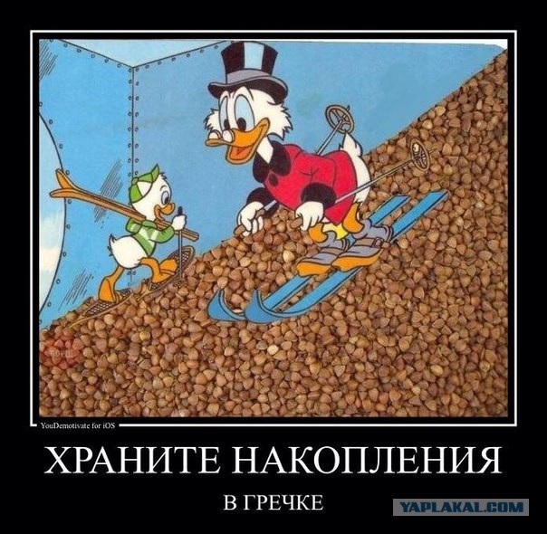 Началось?!