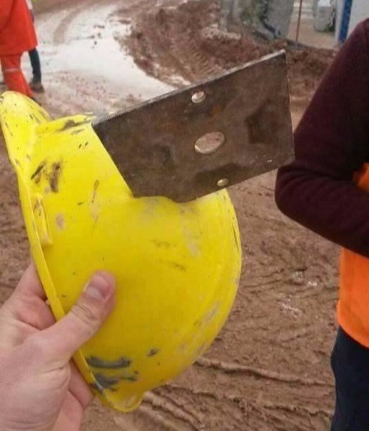 Интересные и веселые картинки