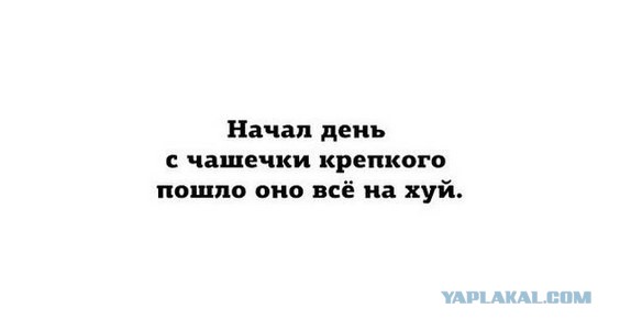 Прикольные картинки, интересные цитаты и мысли