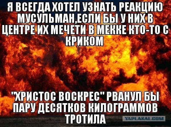Порция картинок из сети