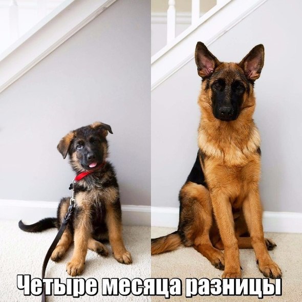 Подборка фот из этих Ваших интернетов
