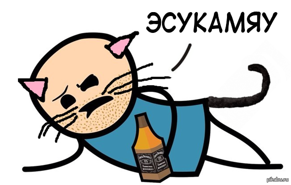 19 бесподобных котов, которые родились, чтобы прославиться.