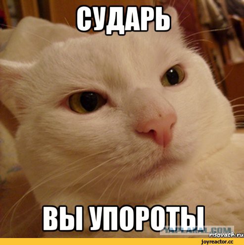 Что вы знаете о понтах?