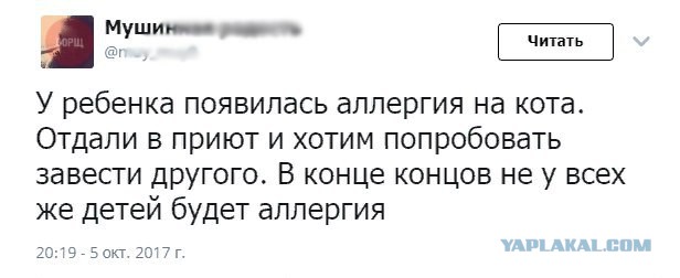 Забавные шутки, фразы и комментарии из этих ваших интернетов
