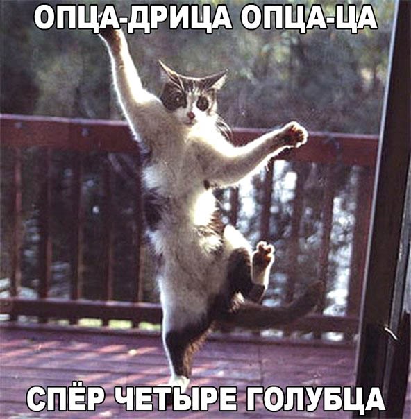 Картинки с подписями и без
