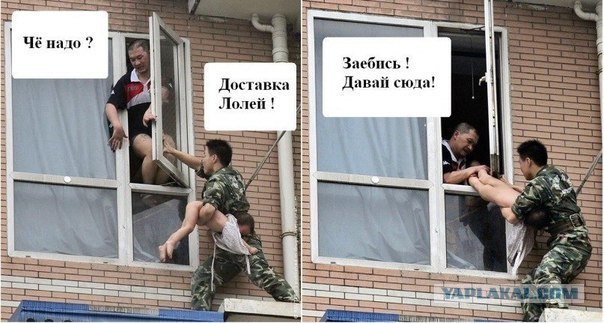 Россия, блин, вперёд !