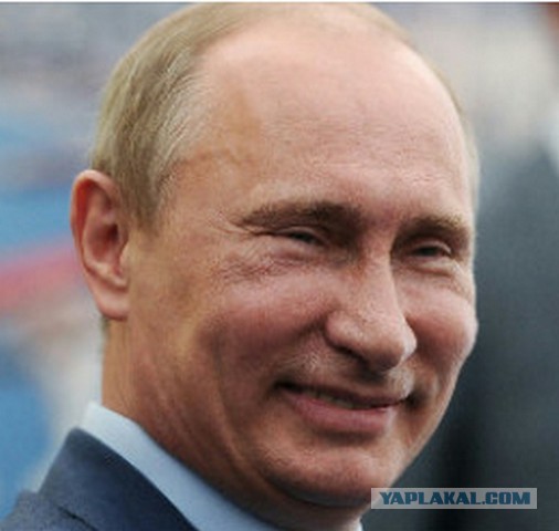расследование проститутки расследование проститутки