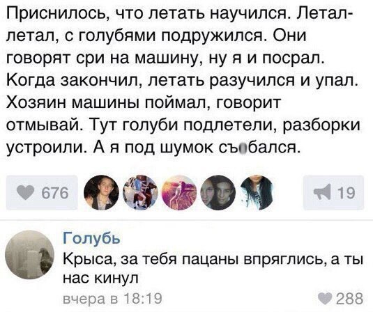 Скотсети и прочие интернеты 05.03.18