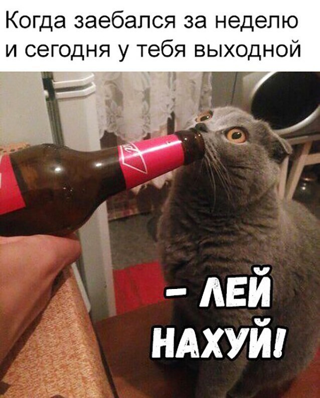Глазки от работы отрывайте, на картинки повтыкайте!