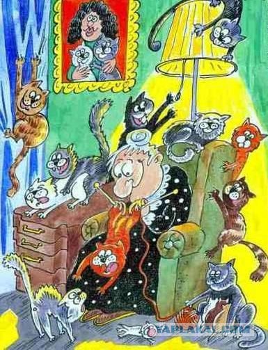 Котовторник на ЯПлакалъ: Кото и кто-то!