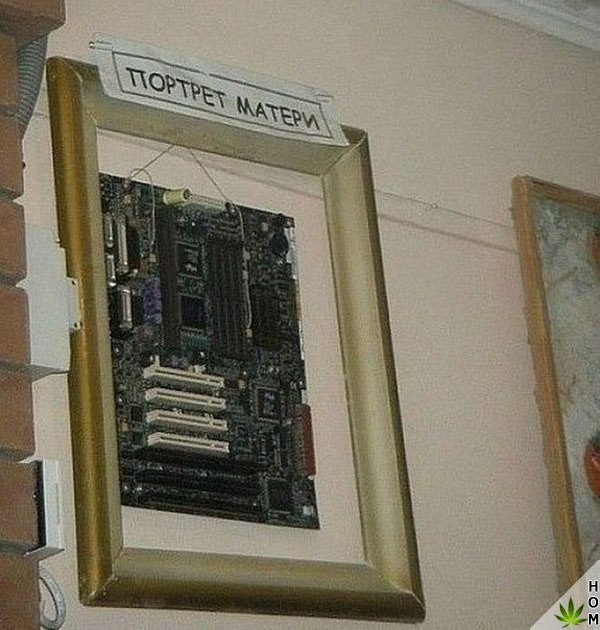 WTF: что тут происходит?