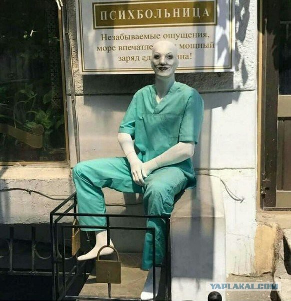 Картинки юморные и тексты