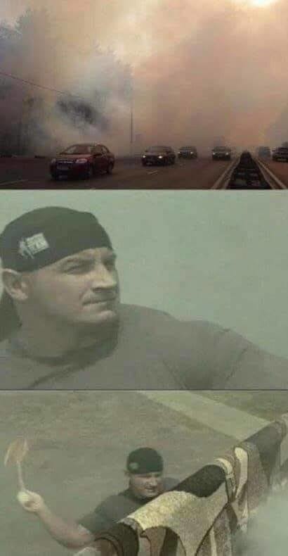12992163.jpg