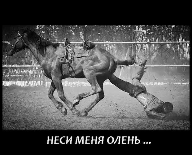Не очень адекватный юмор