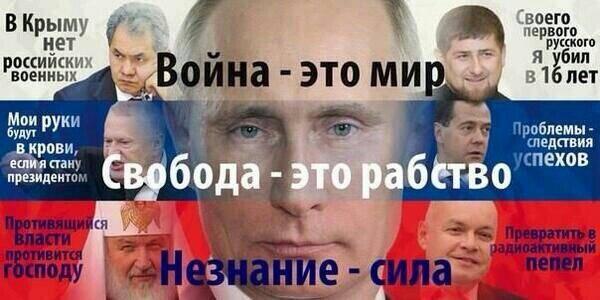 Дорогие борцы с режимом, старайтесь больше времени уделять учебе и работе.