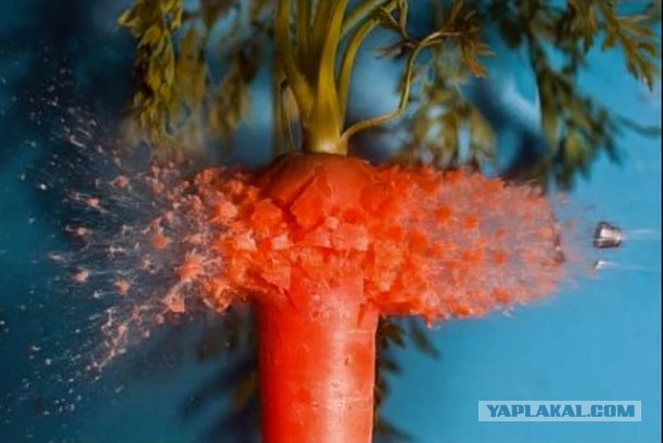 Фотокамера за 250 000$