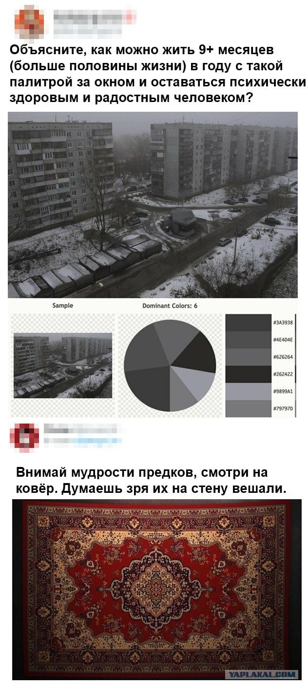 Ковры на стенах: Раскрываем истинное предназначение настенных ковров