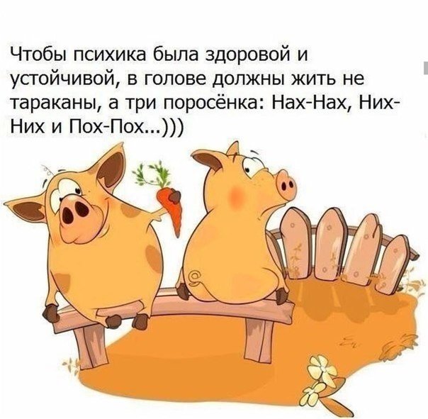 Кучка картинок №8