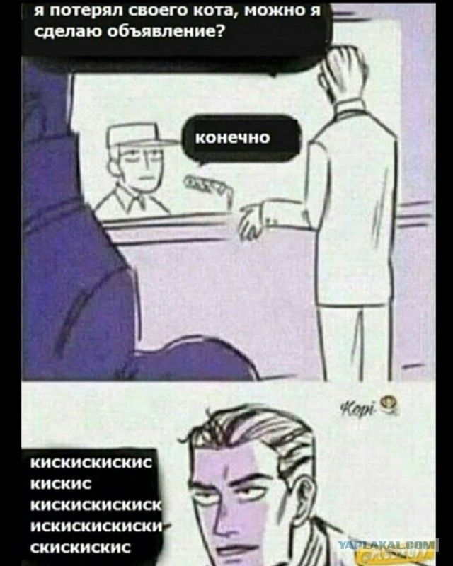 Кот