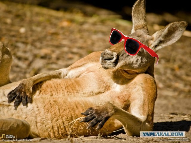 Фотожаба: И чего бы сейчас захотеть?