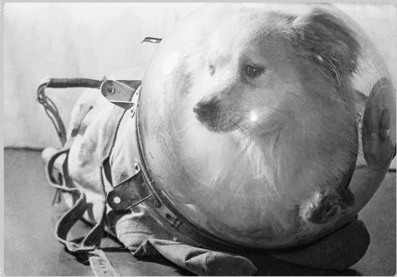 Интересные и редкие ретро-фотографии 26.04.2021