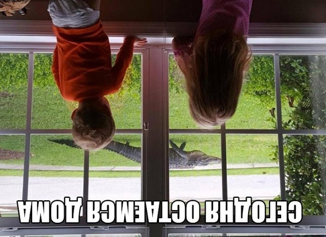 Так себе картинки 27.04.21