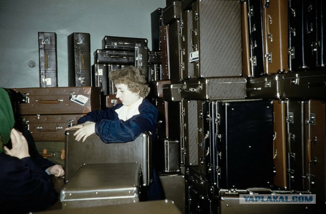 Магазины Москвы в 1959 году