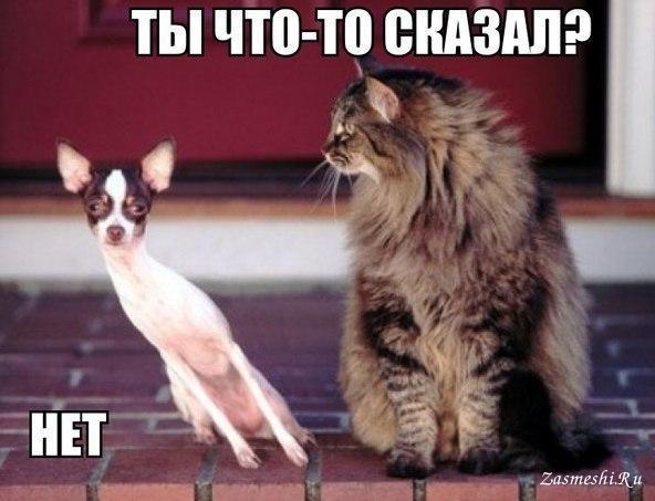ВМФ России проведет ракетные стрельбы вблизи британского авианосца