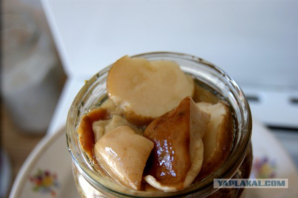 Осень в банках