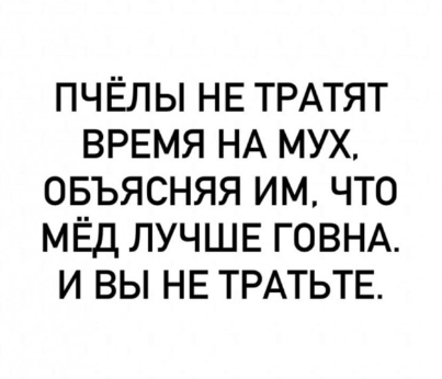В Петербурге появилось и почти сразу же пропало граффити с Марией Колесниковой