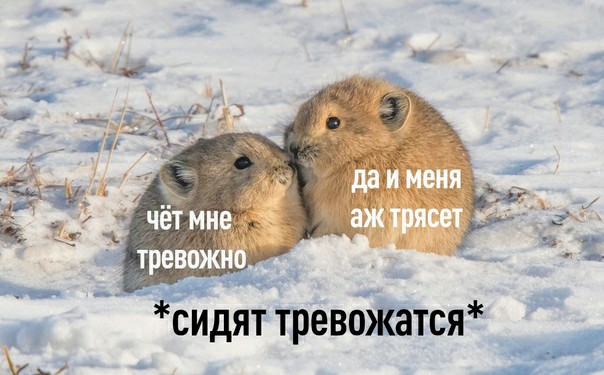 Картинки и мемы, всем прекрасных выходных