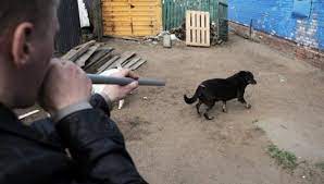 Виталий Наливкин. Вакцинация