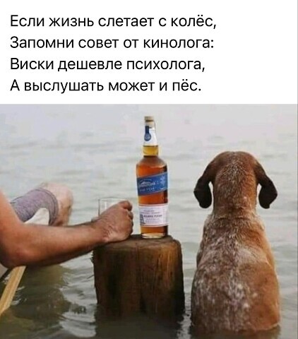 Как девушки представляют себе «идеального парня»