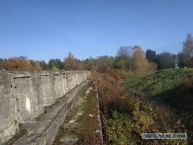 ЯП кругосветка. Этот проект завершился!