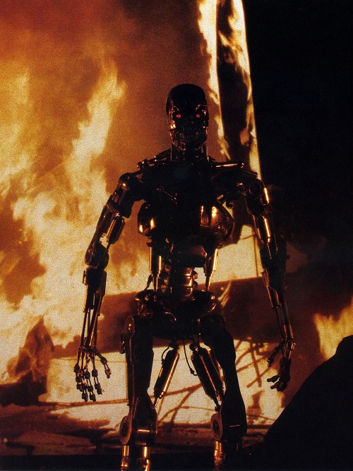 Т-800 и СИБЗ