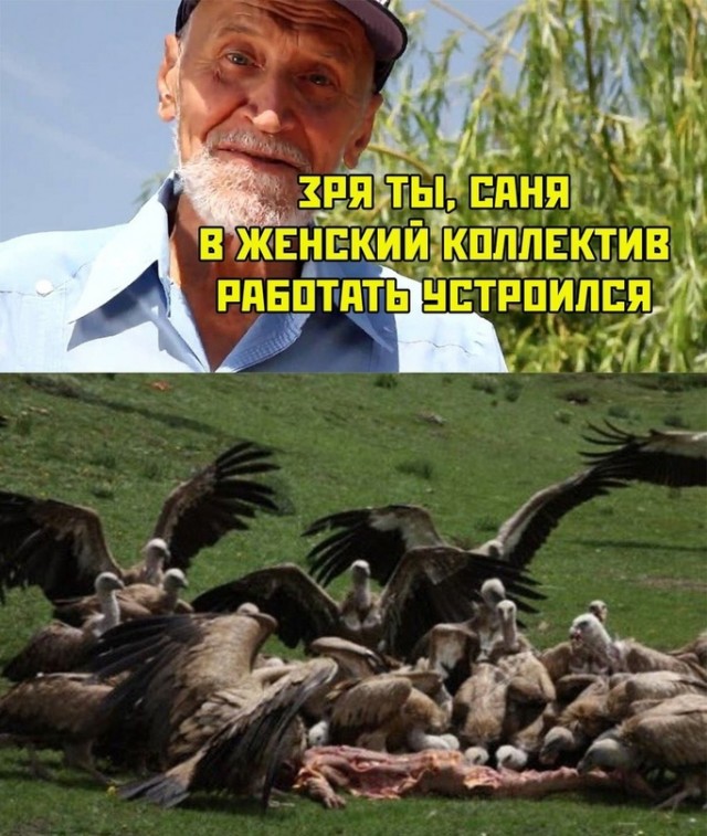 Картинки и мемы для настроения - 03