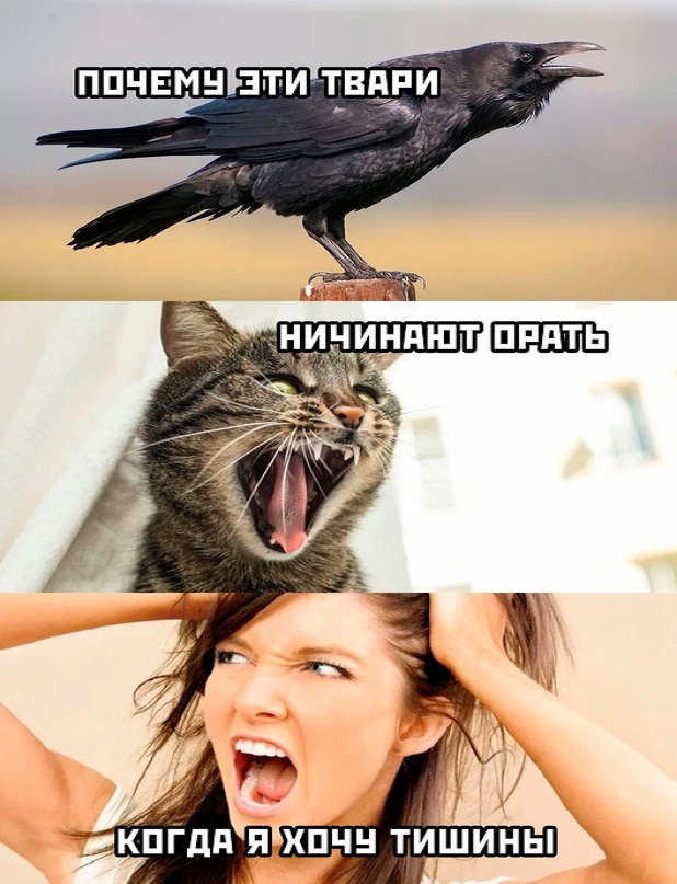 Немного картинок для настроения - 112