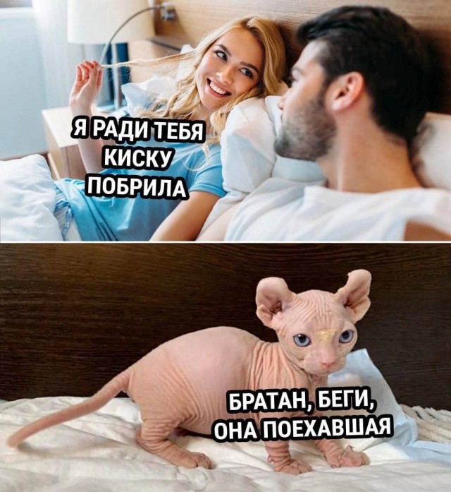 Мой сборник баянов
