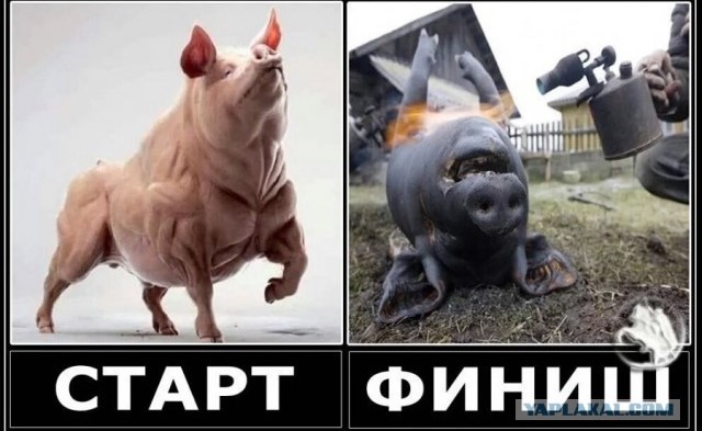 Новая атака на Херсон обернулась для ВСУ поражением, бегством и потерями
