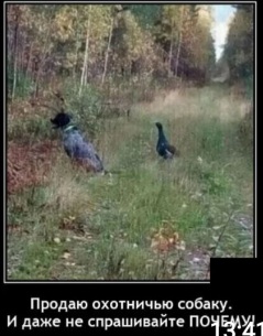 Эмм...