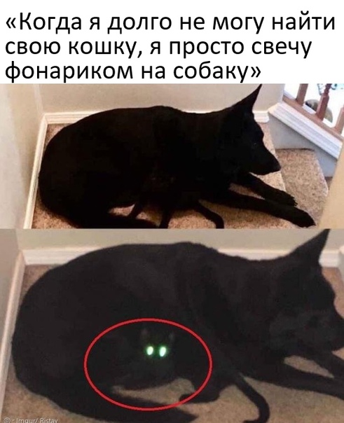 Картинки и мемы, всем хороших выходных