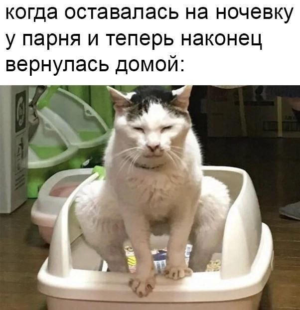 Всего понемногу. От 17.04.23