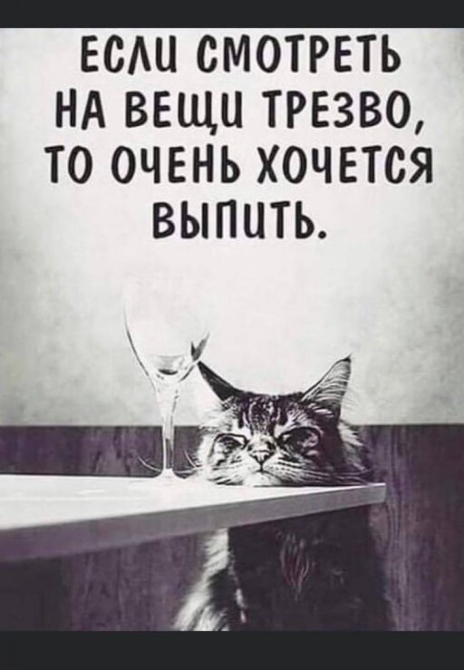 Прикольные и просто красивые картинки 15.09.2023