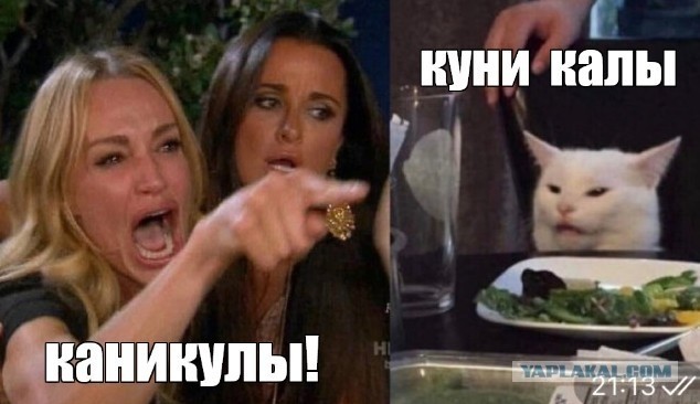Сегодня в лифте заснял сей шедевр