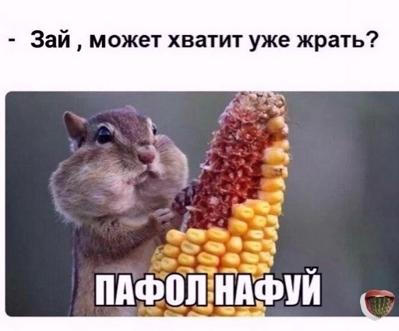 Ничего милее вы сегодня всё-равно не увидите