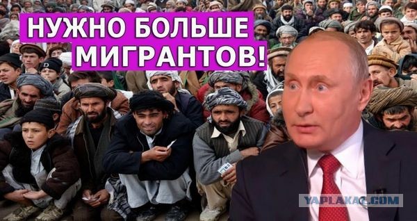 В «Крокус Сити холл» в Москве произошла стрельба перед началом концерта группы «Пикник»
