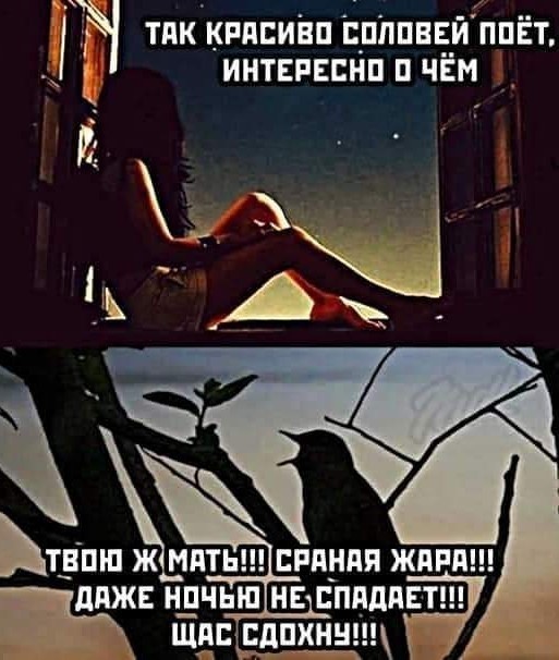 Пятничное улыбательное
